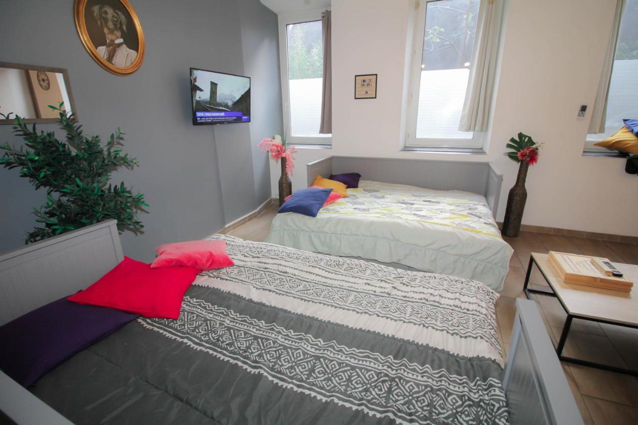 Calme En Centre Ville Appartement , Spacieux Et Renove A 50M De La Place Carnot カルカソンヌ エクステリア 写真